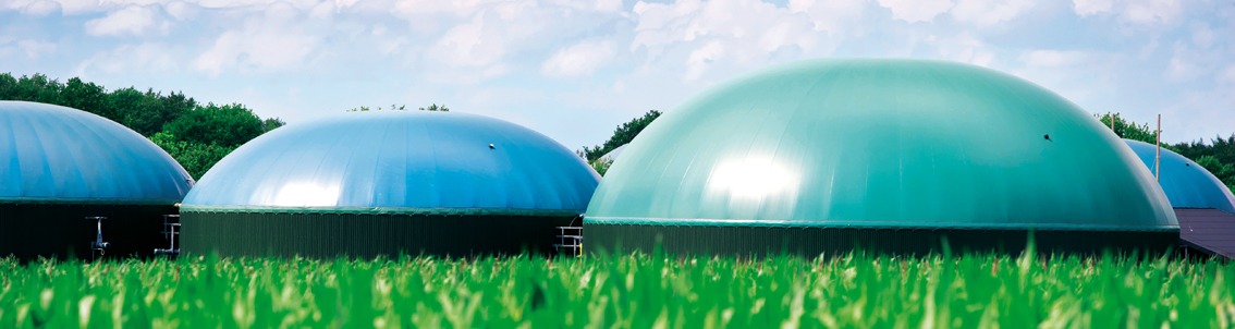 Biogas plant