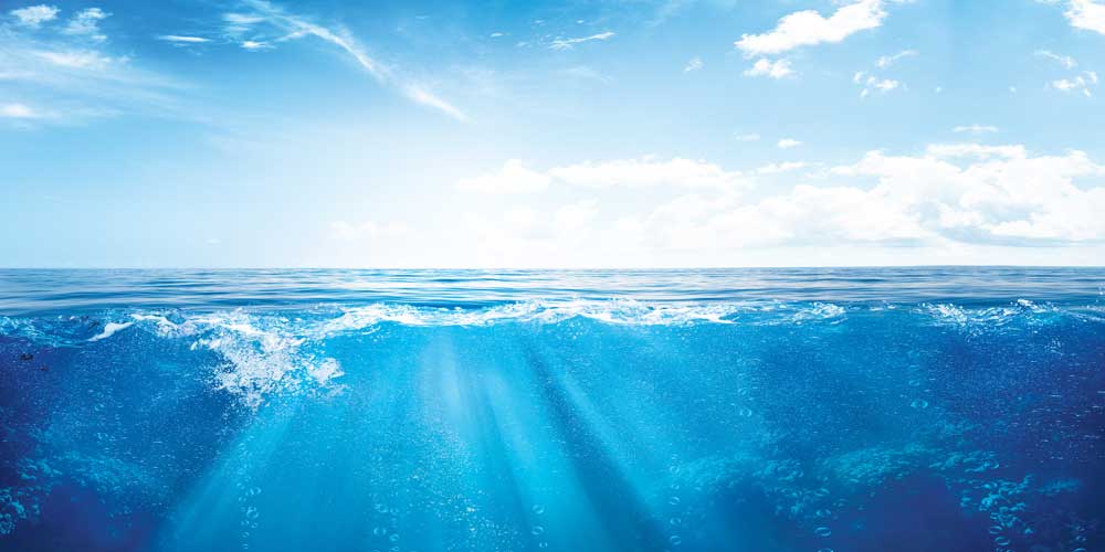 OCS Europe Certification Scheme