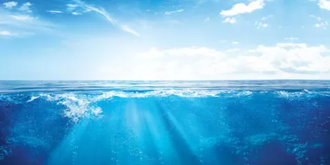 OCS Europe Certification Scheme