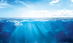 Operation Clean Sweep program (OCS)