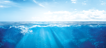 Operation Clean Sweep Programme (OCS)