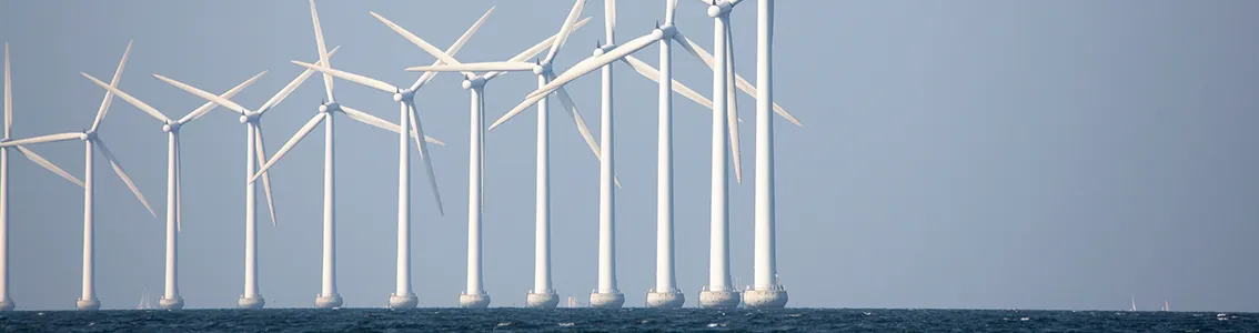 Offshore renewables owner's engineering