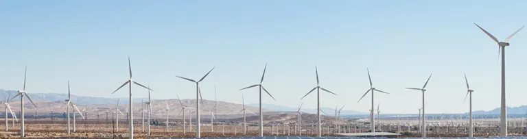 Wind farm development