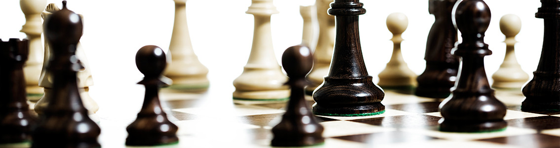 PE_Strategie und Politik Beratung