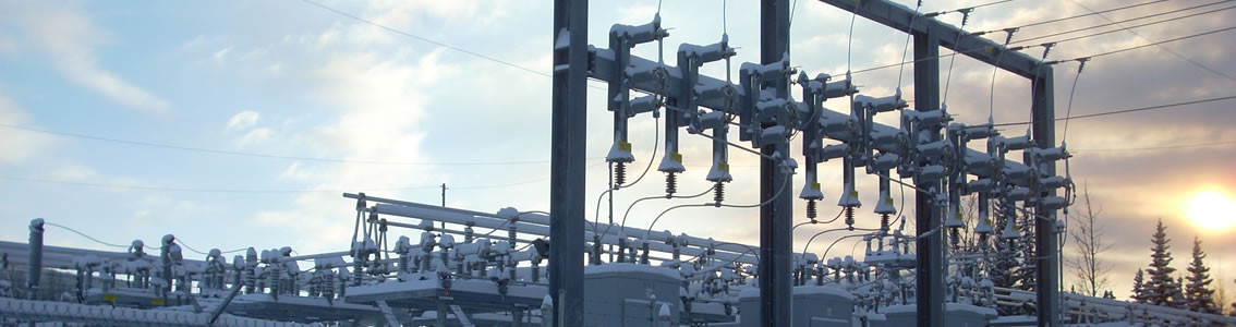 Power system asset management