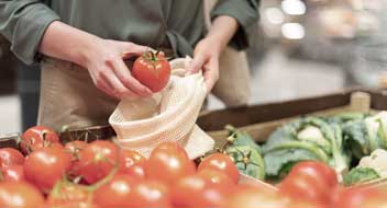 Feed & agriculture