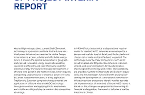 PROMOTioN – executive summary of the interim report