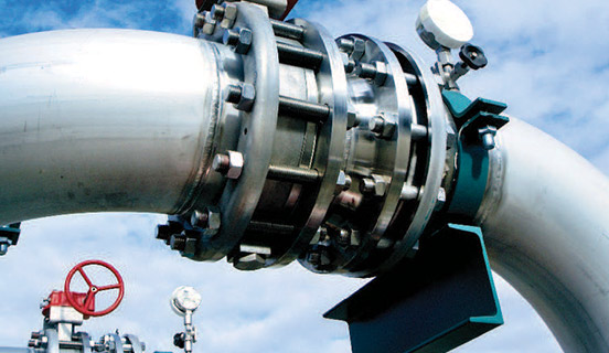 Risikobasierte Inspektion