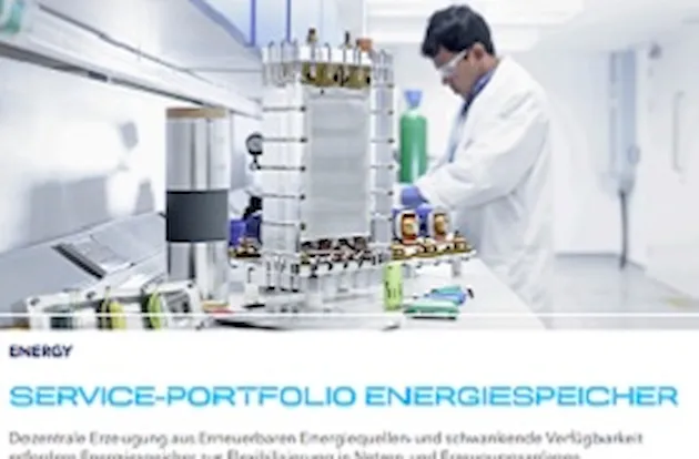 Service-Portfolio Energiespeicher
