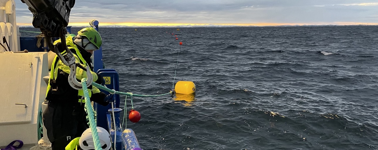 New seaweed farm off the Norwegian coast 