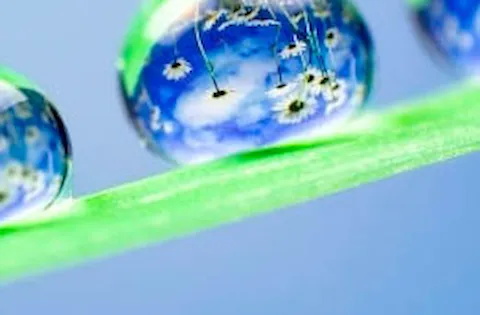 Trainings im Bereich Nachhaltigkeit