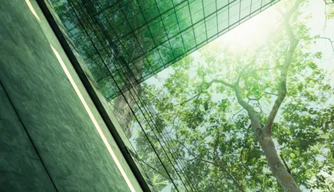 ViewPoint Umfrage: Engagieren sich Unternehmen für Nachhaltigkeit?
