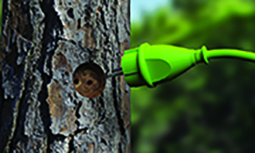 Energieeffizienzgesetz (EnEfG): Anforderungen für Unternehmen