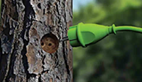 Energieeffizienzgesetz (EnEfG): Anforderungen für Unternehmen