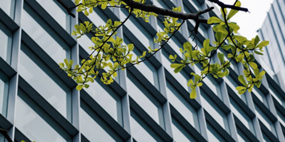 Trainings Umwelt und Energie