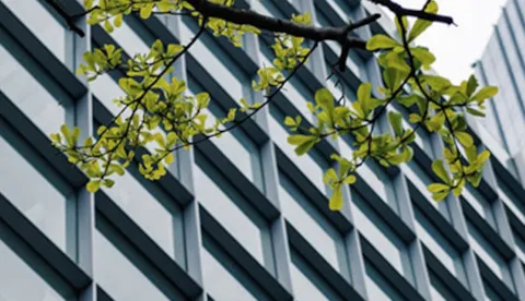 Trainings zu Umwelt- und Energiemanagement