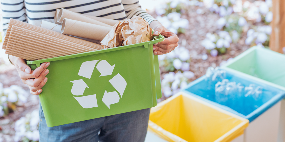 Allgemeine Einblicke