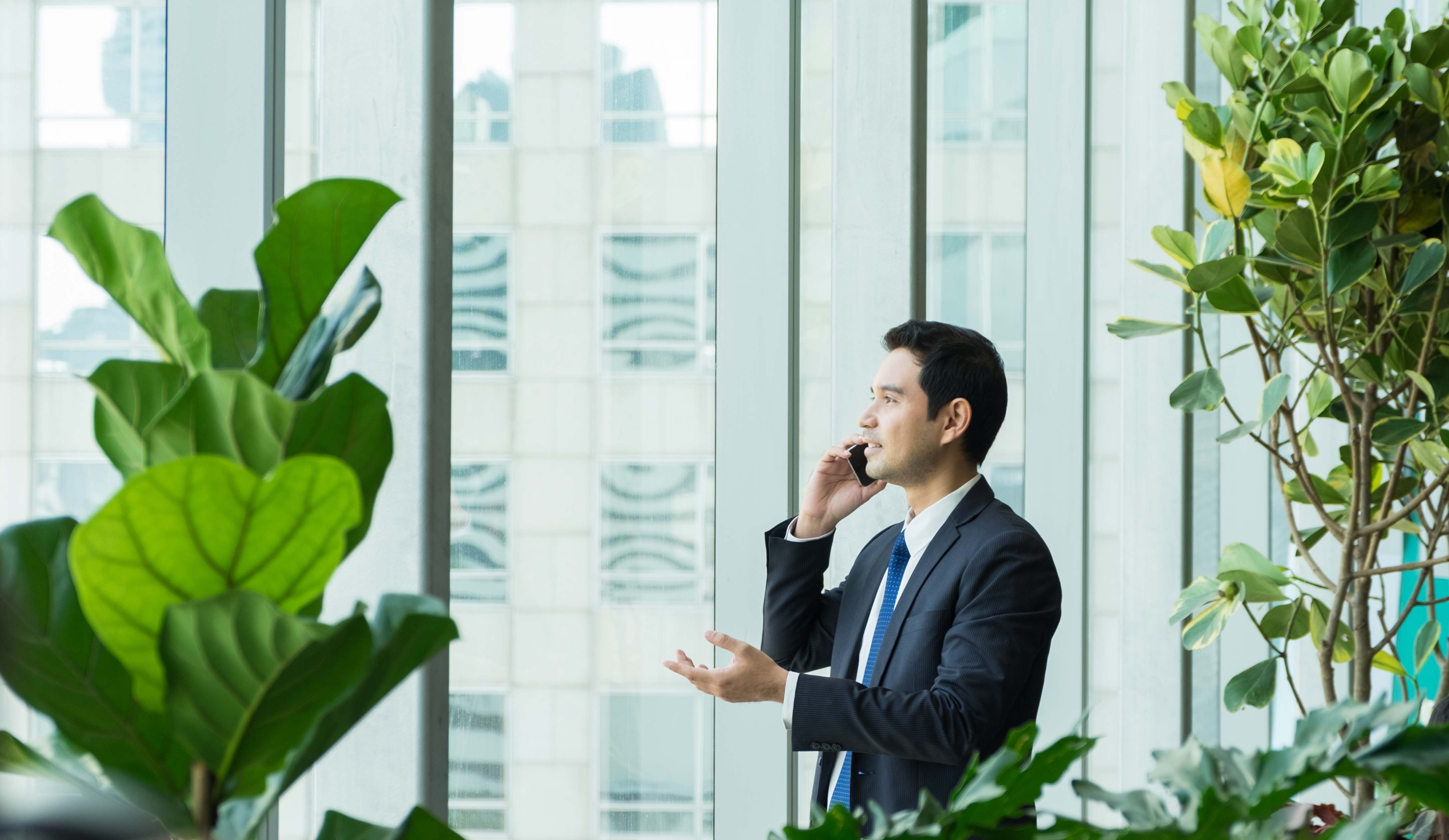 Allgemeine Einblicke