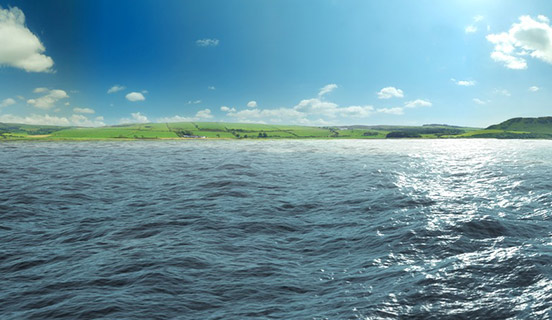 Kundenbefragungen & Studien