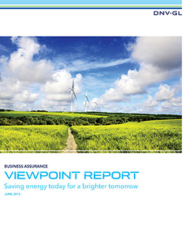 ViewPoint Report