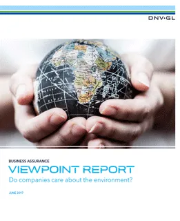 ViewPoint Report