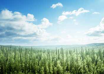 Espresso-Analyse - Auditergebnisse im Umweltmanagement