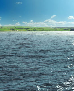 ViewPoint Espresso Portal