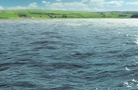 ViewPoint Espresso Portal