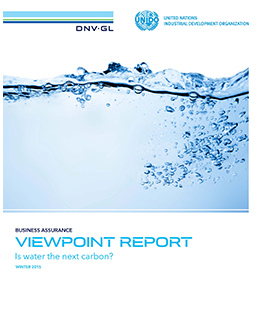 ViewPoint Report