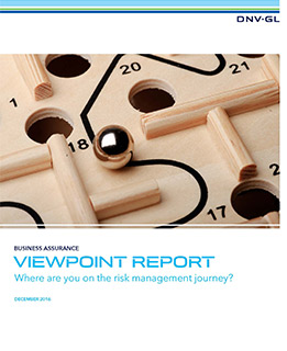ViewPoint Report