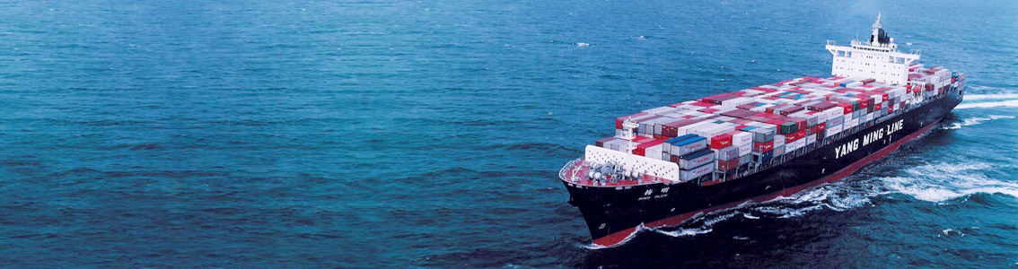 Yang Ming implements ECO Insight